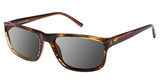 Champion CU6011 Sunglasses