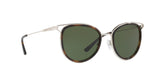 120071 - Silver Tone/dark Tortoise - Green Solid