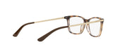 1916 - Top Light Havana/Transparent