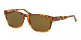 Polo 4053 Sunglasses