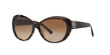 510/8 - Havana - Brown Gradient