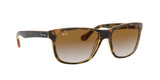 710/51 - Havana - Crystal Brown Gradient