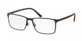 Polo 1165 Eyeglasses