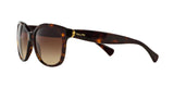 137813 - Havana - Brown Gradient