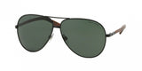 Polo 3073 Sunglasses