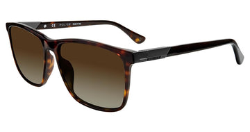 Police SPL77307PA58 Sunglasses