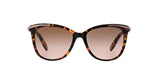 146114 - Pink - Brown Rose Gradient