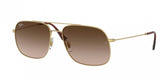 Ray Ban Andrea 3595 Sunglasses