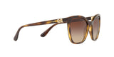 W65613 - Havana - Brown Gradient