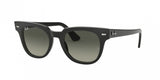 Ray Ban Meteor 2168 Sunglasses