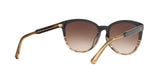 556713 - Brown - Brown Gradient