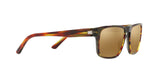0002F9 - Havana - Brown Mirror Bronze