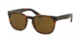 Polo 4099 Sunglasses