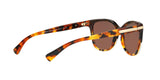 5438T5 - Havana - Brown Gradient Polar