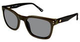 Sperry SPBRANTPOINT Sunglasses