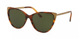 Ralph Lauren 8172 Sunglasses