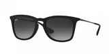 Ray Ban 4221F Sunglasses