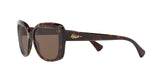 500373 - Shiny Dark Havana - Brown