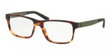 Polo 2181 Eyeglasses