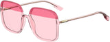 Dior Stellaire1 Sunglasses