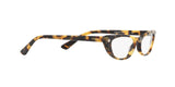 2605 - Brown Yellow Tortoise