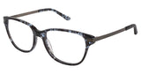 Nicole Miller NMLINDEN Eyeglasses