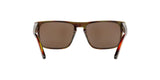 0002F9 - Havana - Brown Mirror Bronze