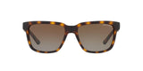 8029T5 - Havana - Polar Brown Gradient