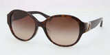 Coach 8051F Sunglasses