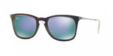 Ray Ban 4221 Sunglasses