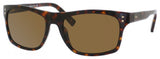 Banana Republic Corbin Sunglasses