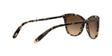 146213 - Brown - Dark Brown Gradient