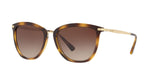 500313 - Gradient Brown