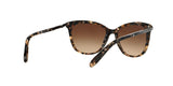 146213 - Brown - Dark Brown Gradient