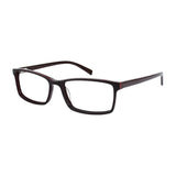 Aristar AR18648 Eyeglasses