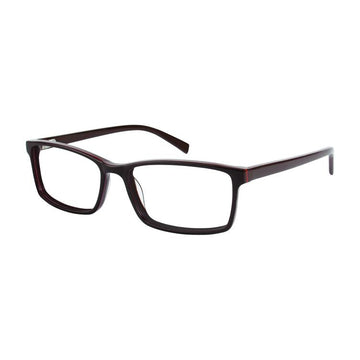 Aristar AR18648 Eyeglasses