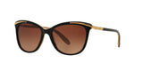 1090T5 - Black - Brown Gradient Polarized
