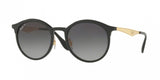 Ray Ban Emma 4277 Sunglasses