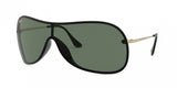 Ray Ban 4411 Sunglasses