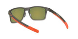 412322 - Silver - Prizm Ruby Polarized