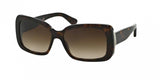 Ralph Lauren 8092 Sunglasses