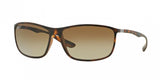 Ray Ban 4231 Sunglasses