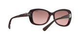 194114 - Brown - Pink Gradient Brown