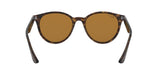 710/83 - Havana - Polar Brown