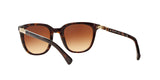 137813 - Havana - Brown Gradient