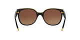 1312T5 - Black - Brown Gradient Polarized