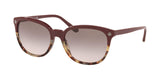 Tory Burch 7131 Sunglasses