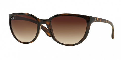 Ray Ban 4167 Sunglasses