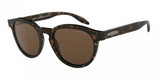 Giorgio Armani 8115F Sunglasses