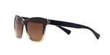 1444T5 - Brown - Brown Gradient Polarized